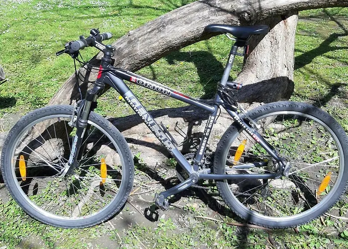 Charming, Central, Spacious